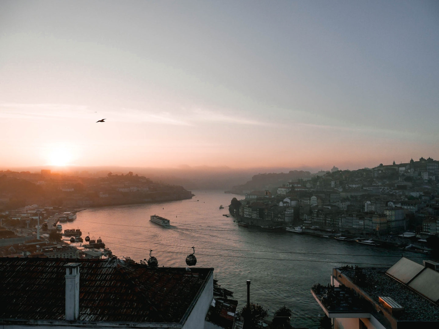 The Ultimate Guide to Porto, Portugal 