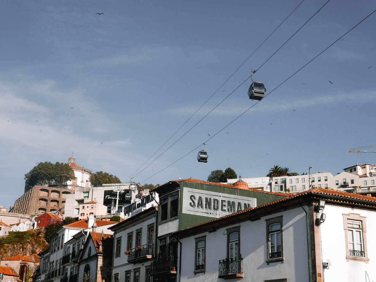 The Ultimate Guide to Porto, Portugal