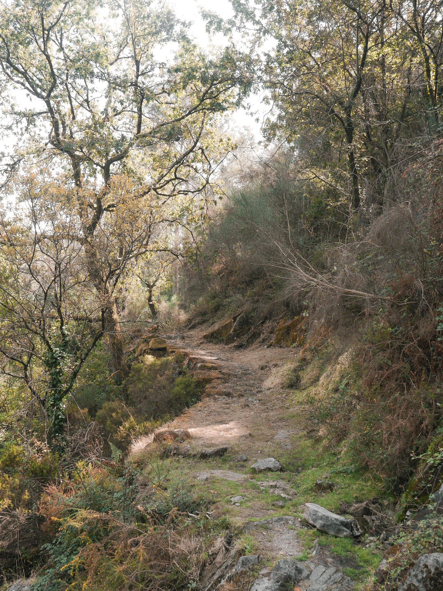 A Guide to Soajo, Portugal