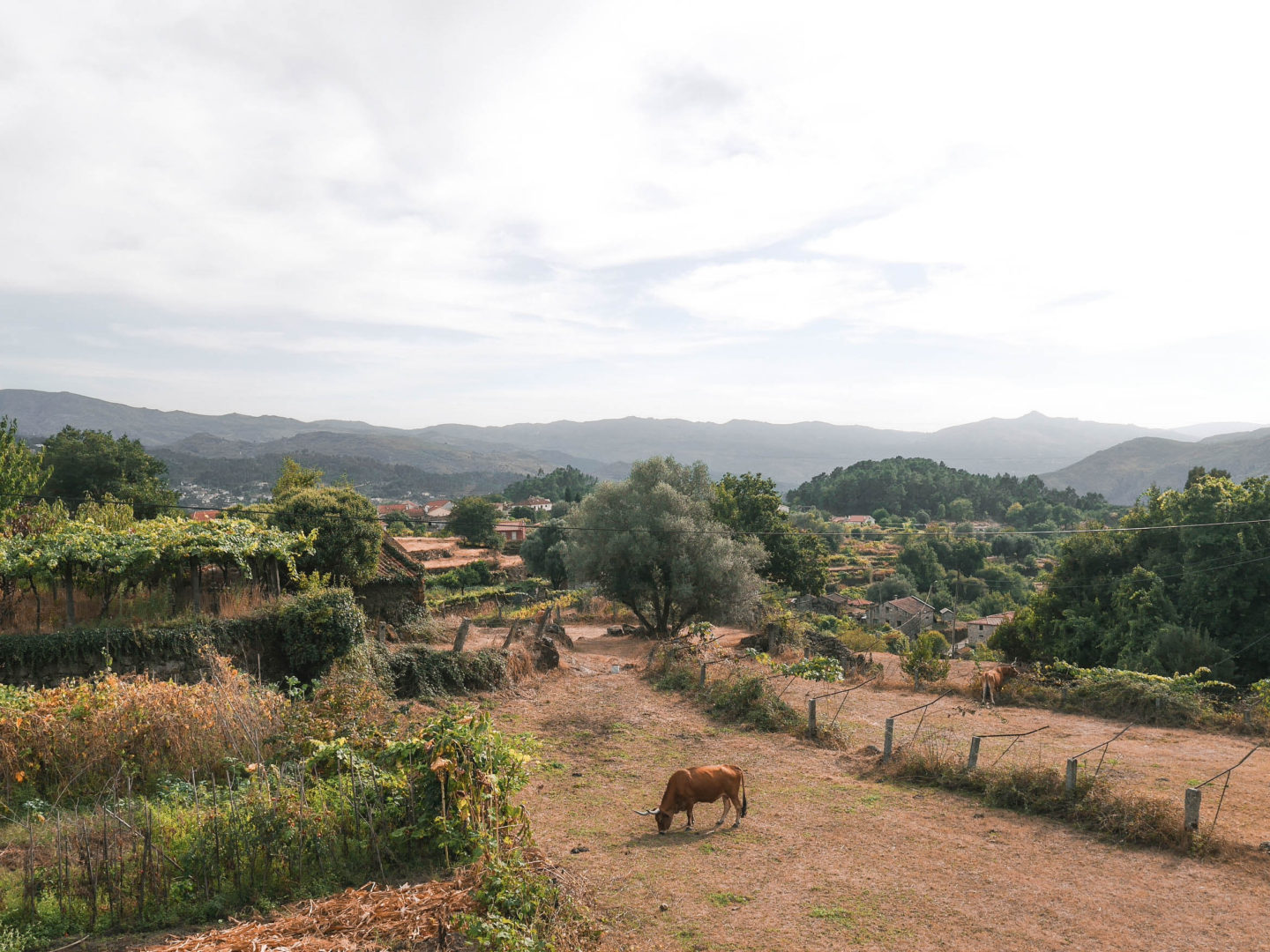 A Guide to Soajo, Portugal